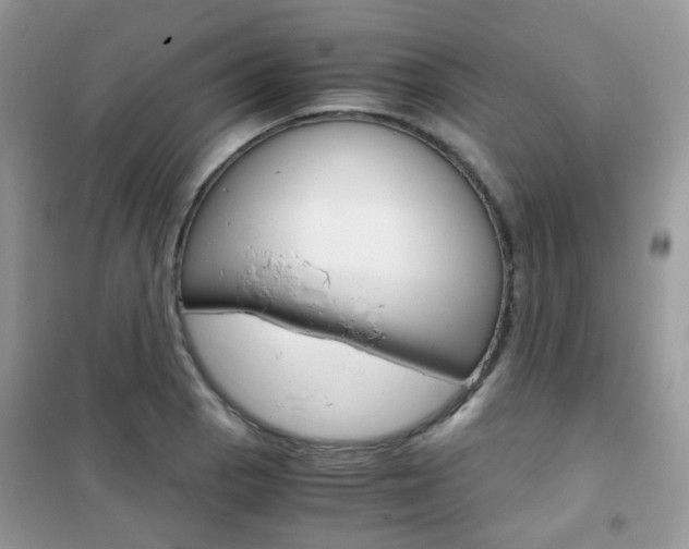 X0000102341129200808010906