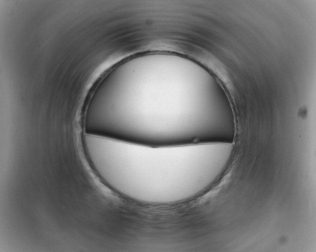 X0000102341133200808010906