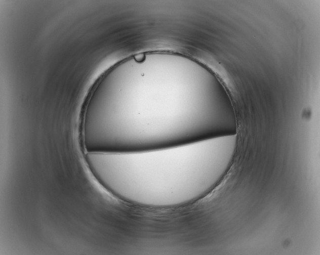 X0000102341135200808010906