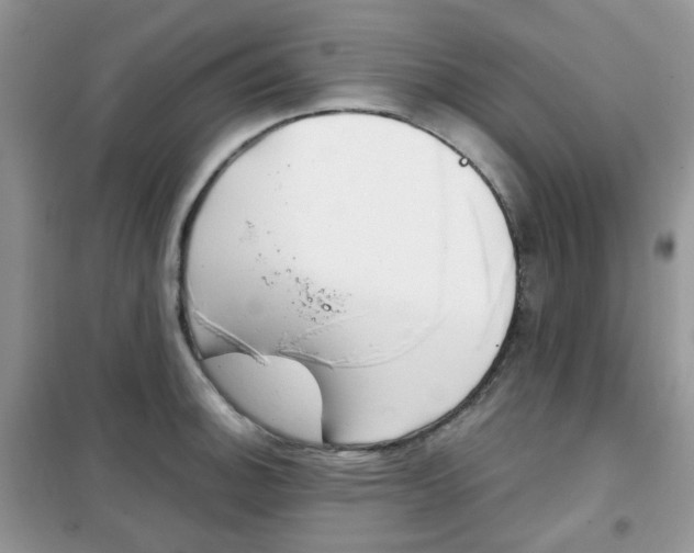 X0000102341140200808010906
