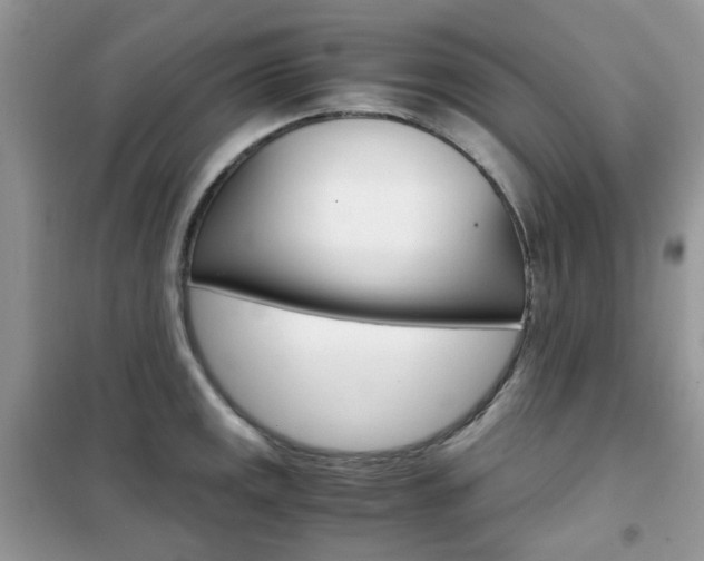X0000102341141200808010906