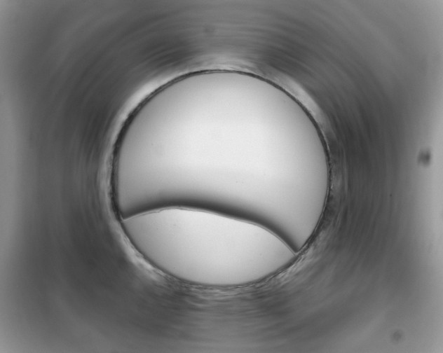 X0000102341144200808010906