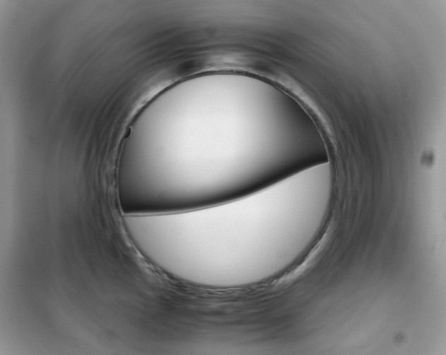 X0000102341145200808010906