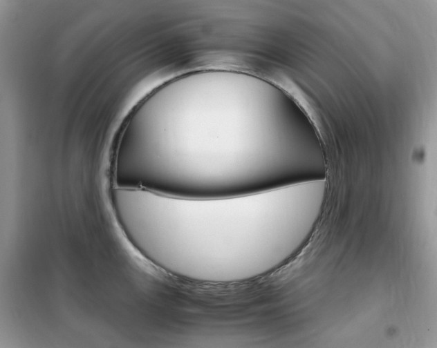 X0000102341147200808010906