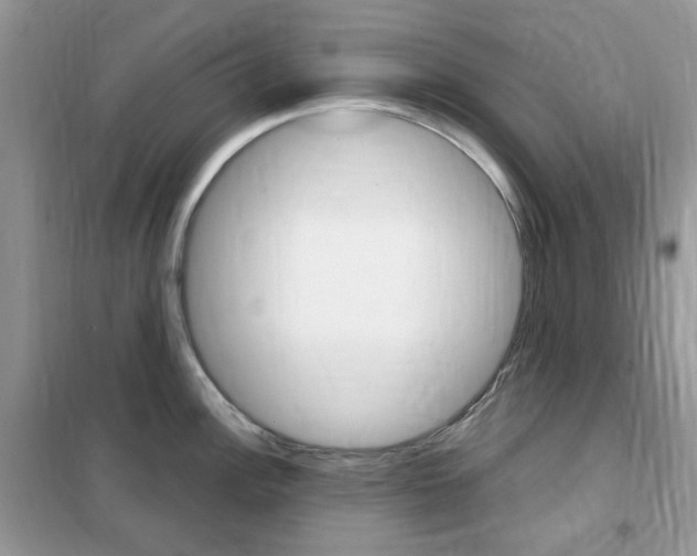 X0000102341148200808010906
