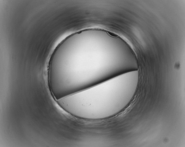 X0000102341151200808010906