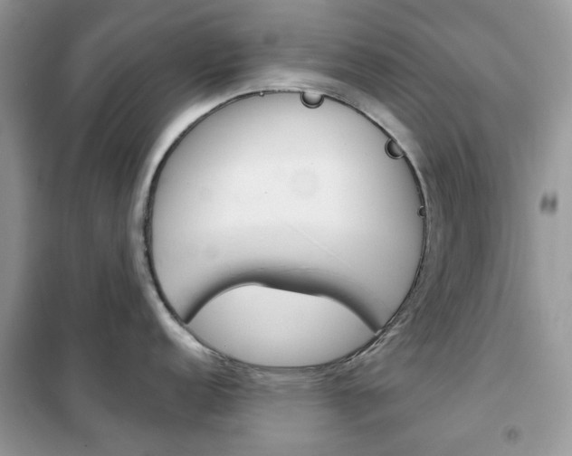 X0000102341152200808010906