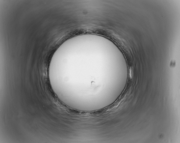 X0000102341155200808010906