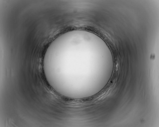 X0000102341156200808010906