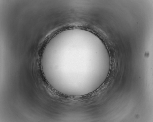 X0000102341158200808010906