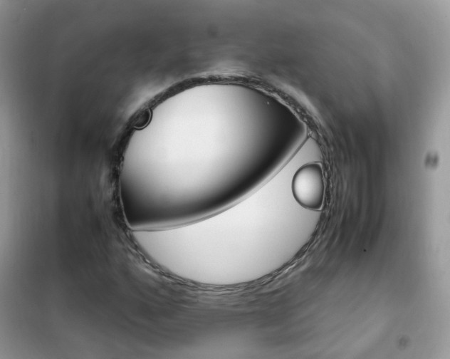 X0000102341160200808010906