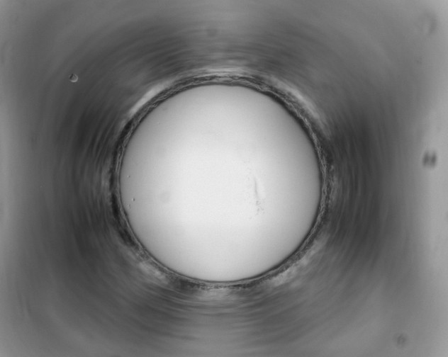 X0000102341162200808010906