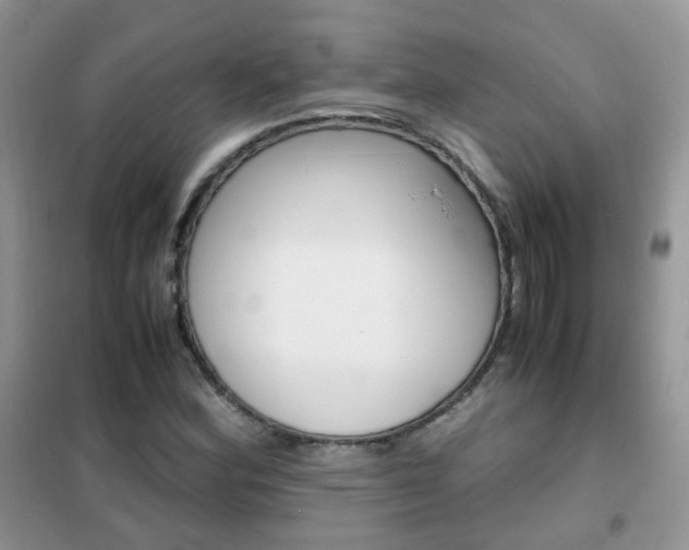 X0000102341164200808010906
