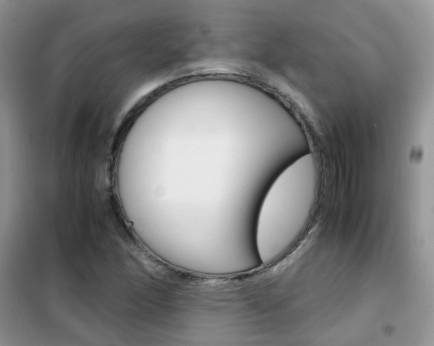 X0000102341166200808010906