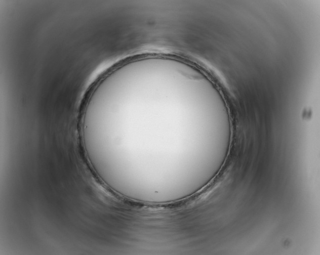 X0000102341168200808010906