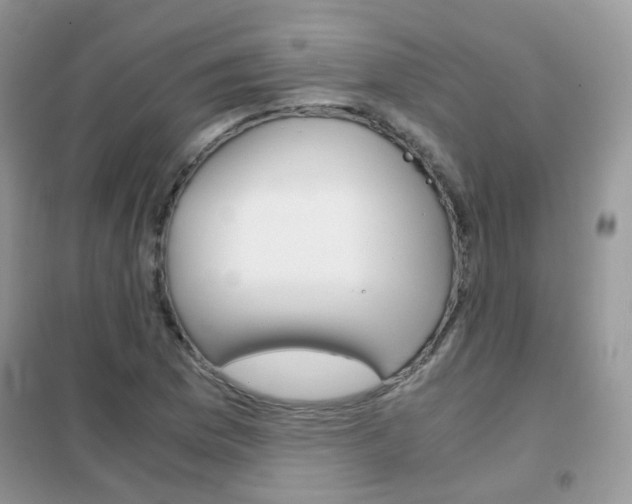 X0000102341169200808010906