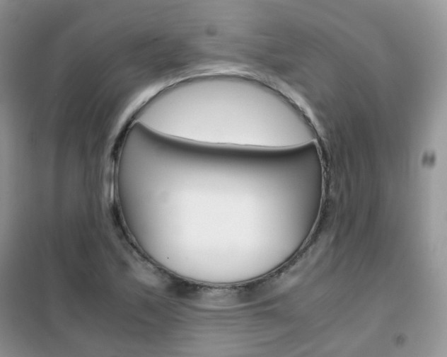 X0000102341171200808010906