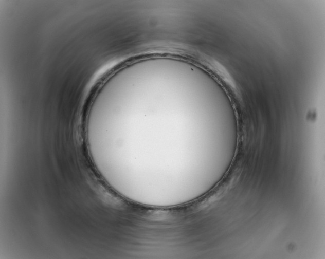 X0000102341172200808010906