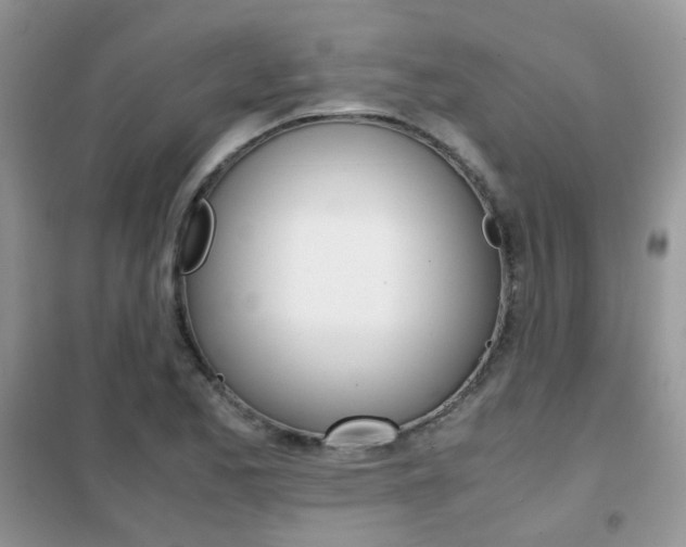 X0000102341173200808010905