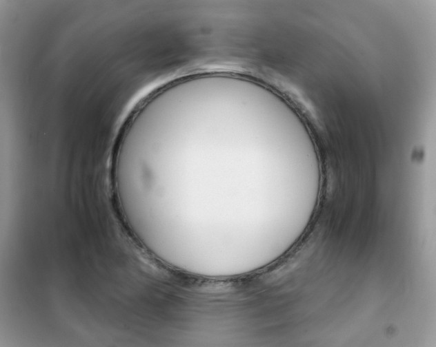 X0000102341174200808010905