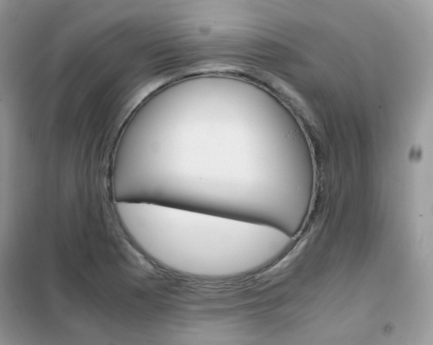 X0000102341177200808010905
