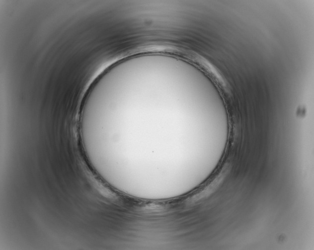 X0000102341178200808010905