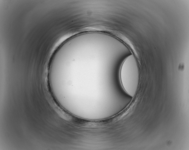 X0000102341179200808010905