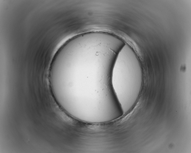 X0000102341182200808010905