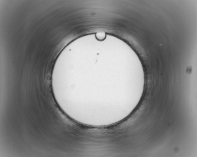 X0000102341185200808010905