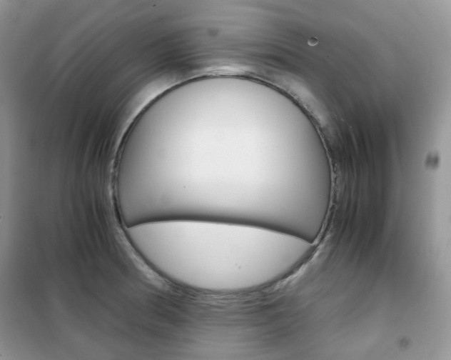 X0000102341186200808010905