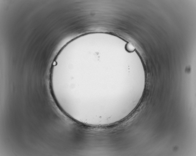 X0000102341187200808010905