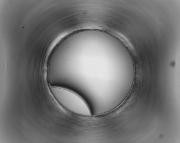 X0000102341188200808010905