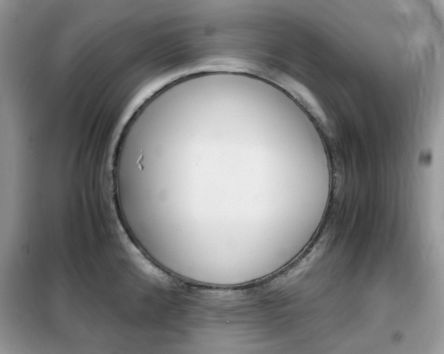 X0000102341192200808010905