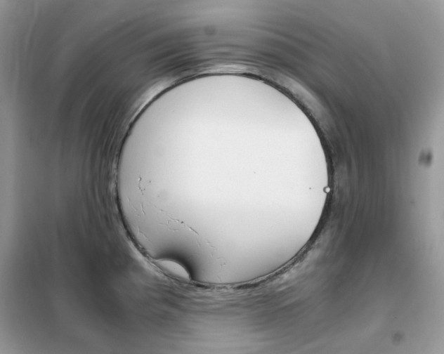 X0000102341193200808010905
