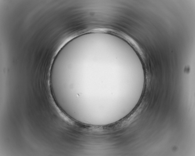 X0000102341194200808010905