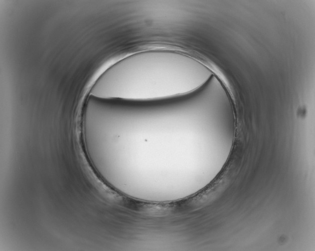 X0000102341195200808010905