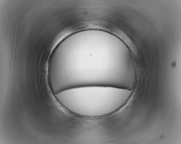 X0000102341198200808010905