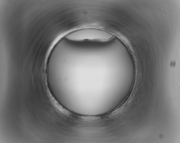 X0000102341200200808010905
