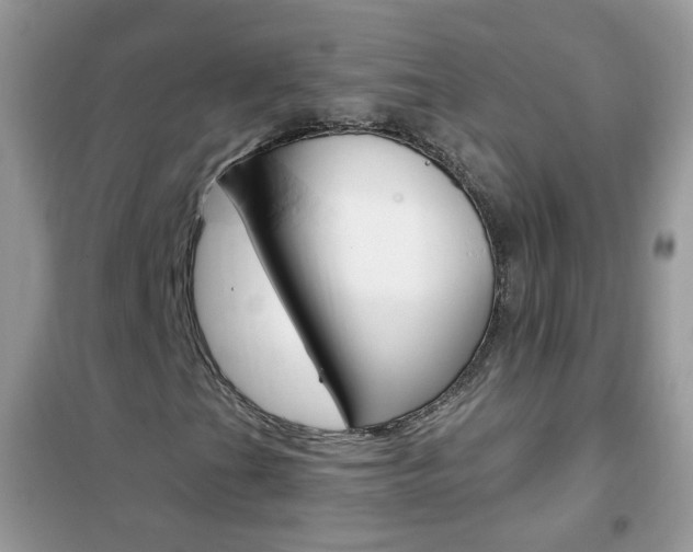 X0000102341201200808010904