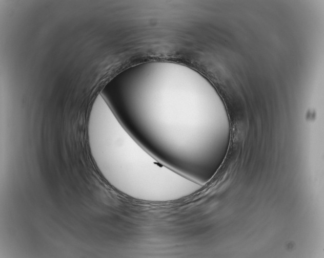 X0000102341202200808010904