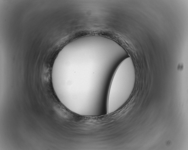 X0000102341204200808010904