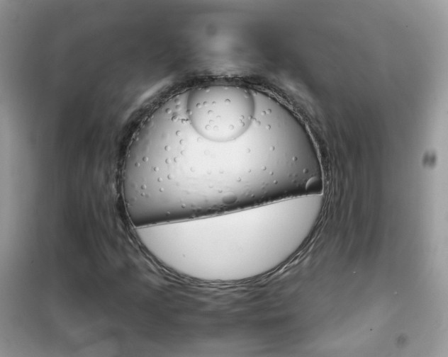 X0000102341205200808010904
