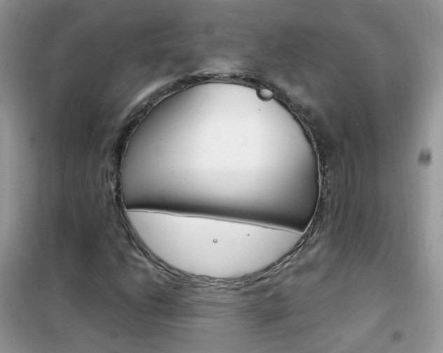 X0000102341206200808010904