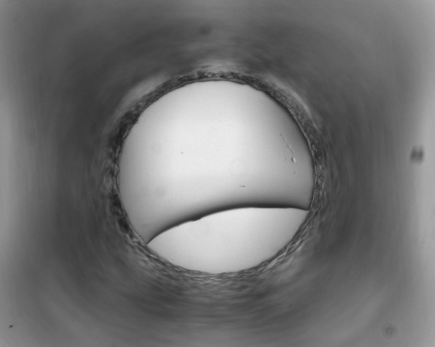 X0000102341207200808010904