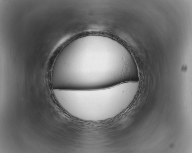 X0000102341208200808010904