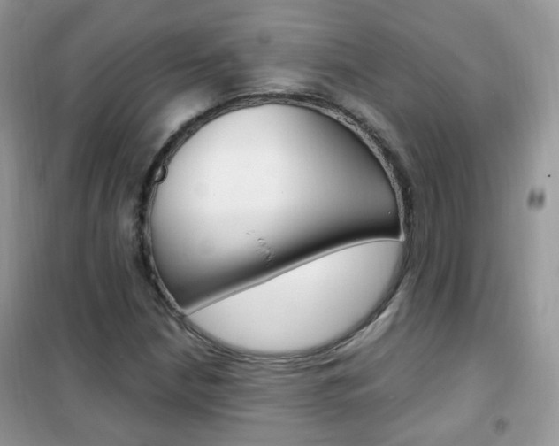 X0000102341210200808010904