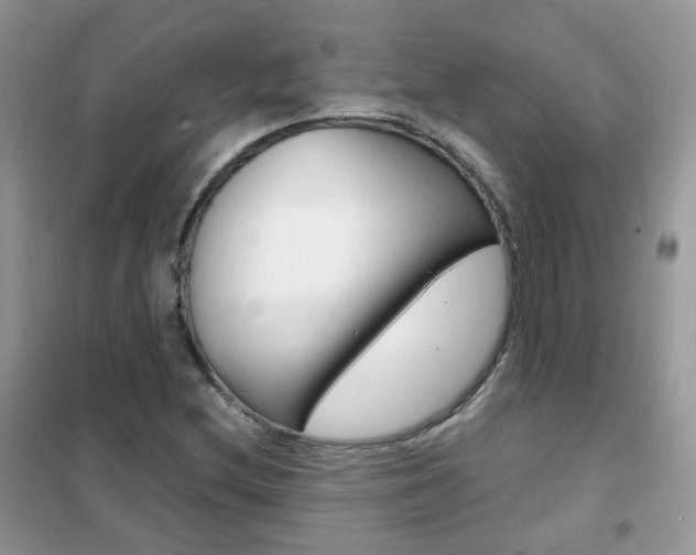 X0000102341212200808010904