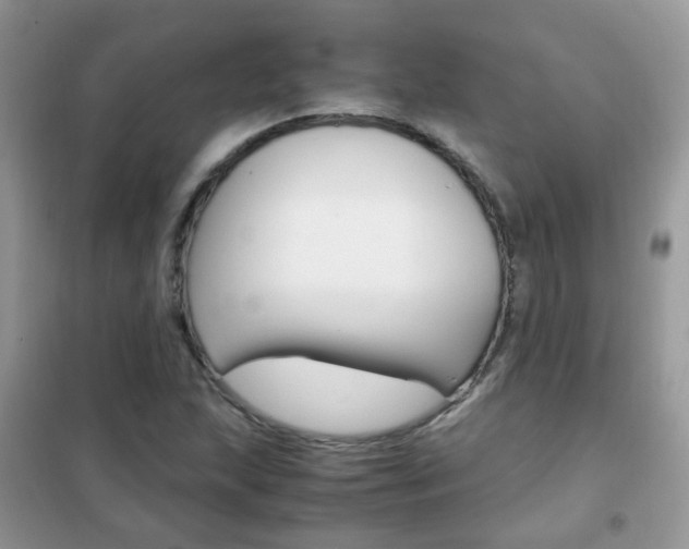 X0000102341215200808010904
