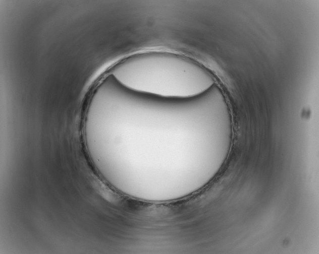X0000102341216200808010905