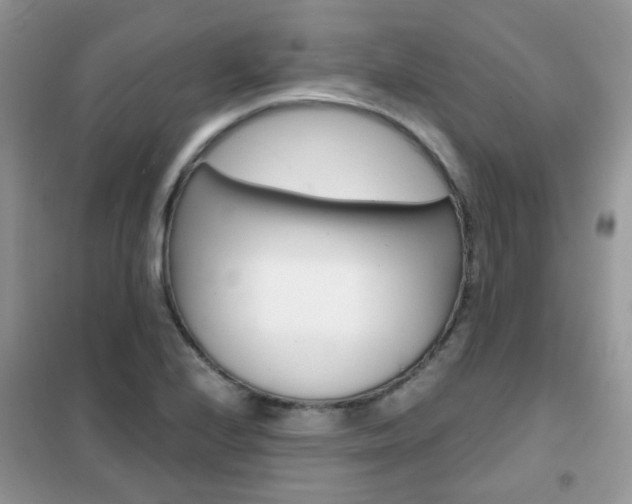 X0000102341224200808010905